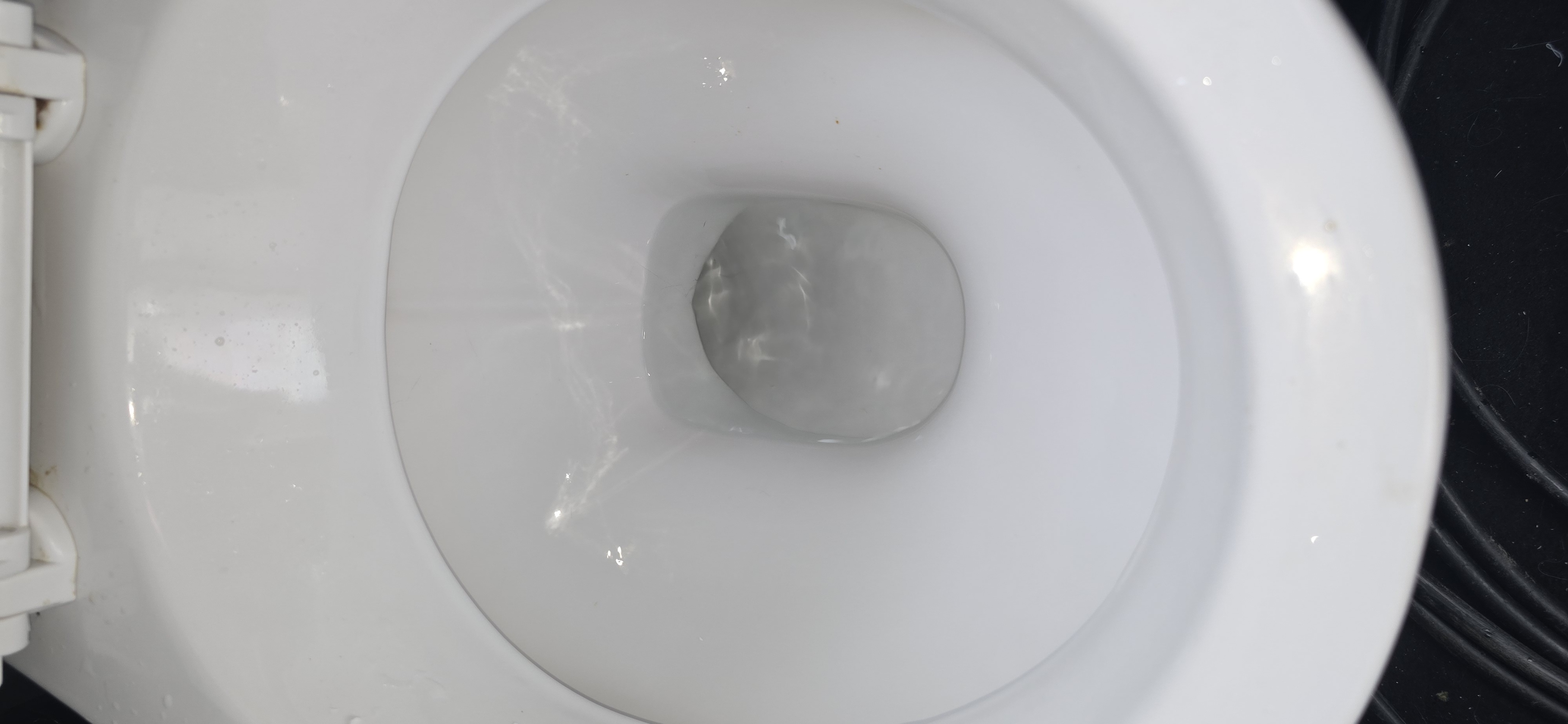 Toilet cleared and flushing properly